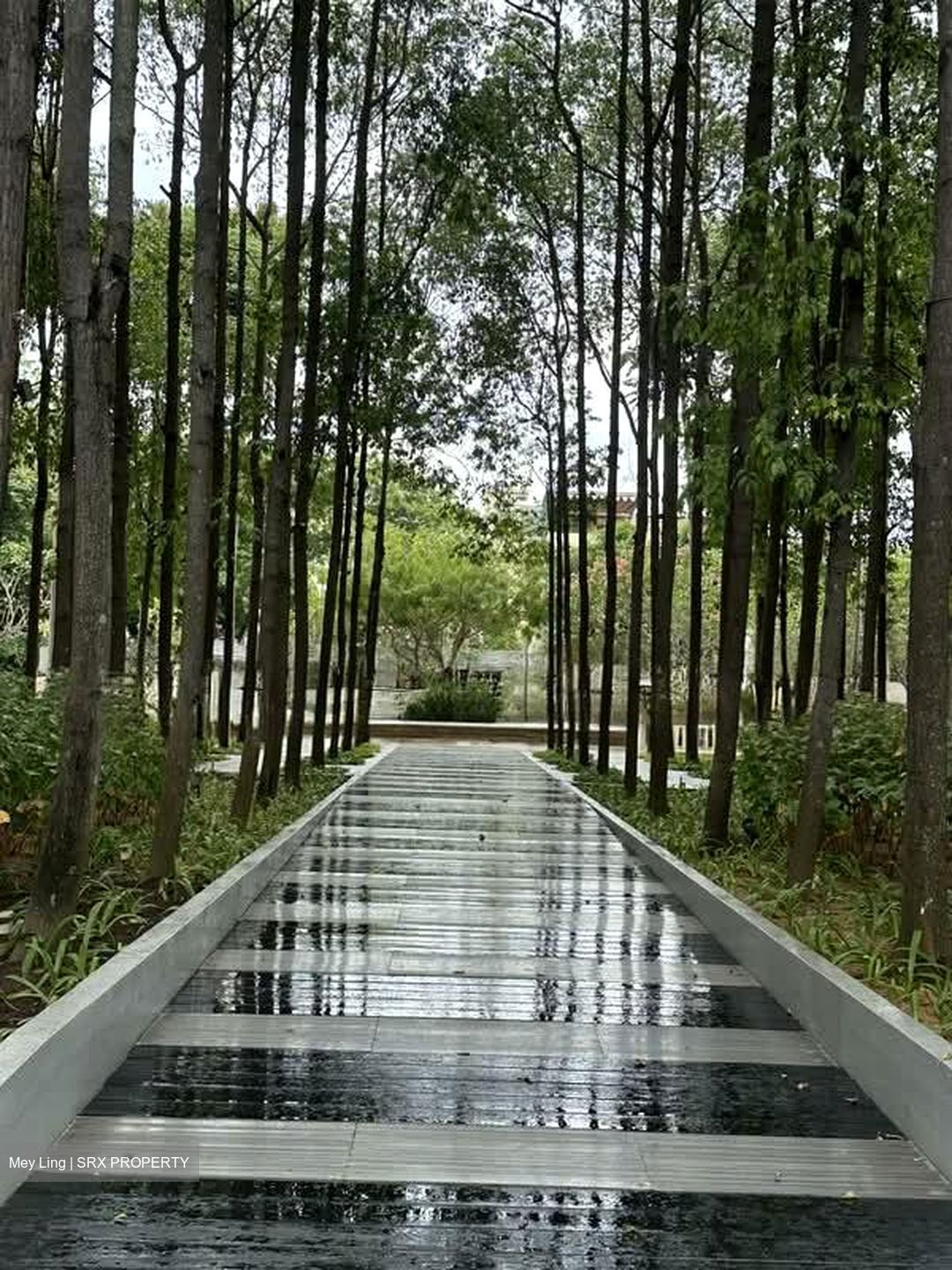 Changi Rise Condominium (D18), Condominium #566878181